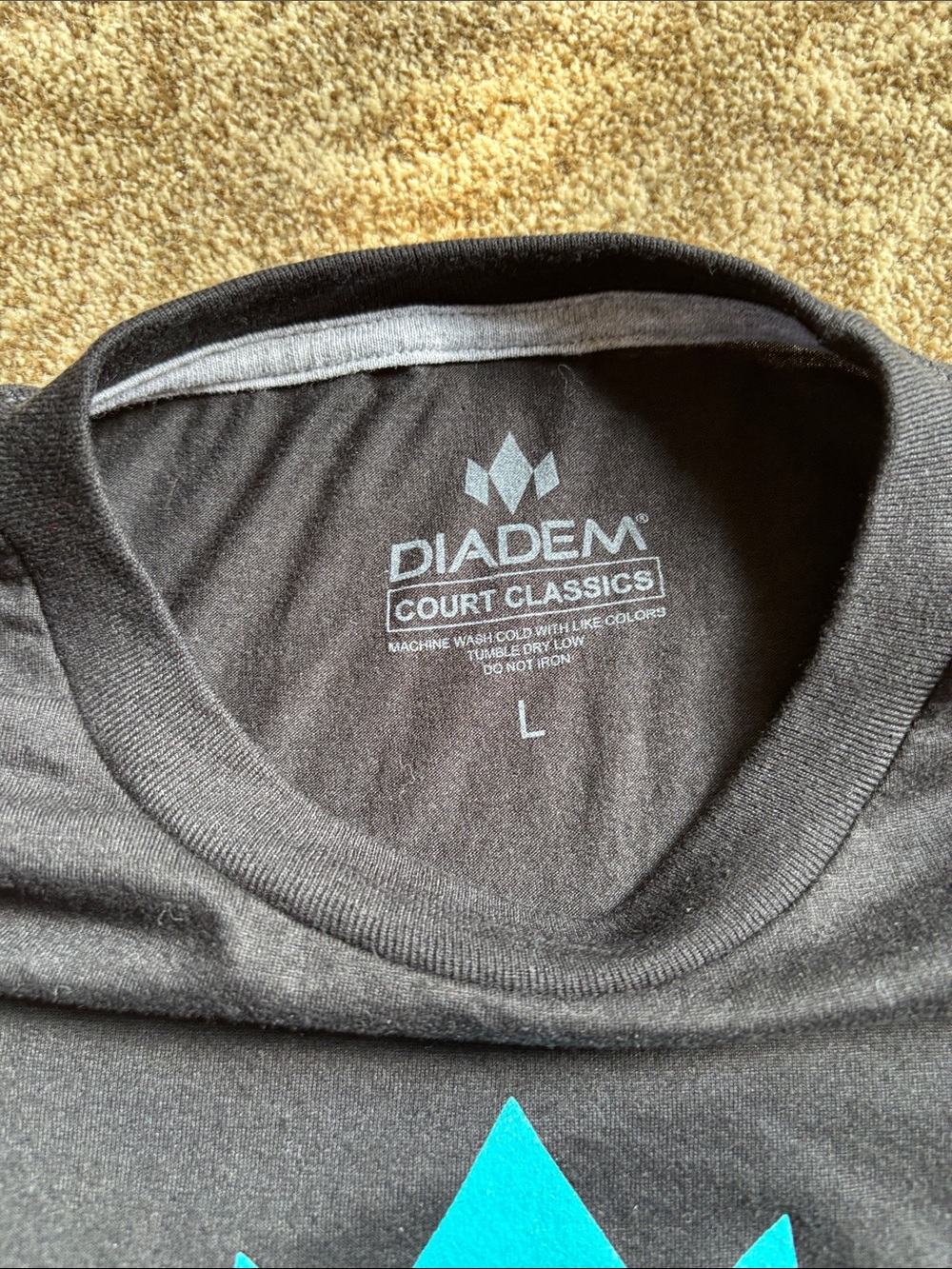 Diadem Men’s Black T‑Shirt with Teal Logo - Picture 2 of 3